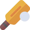 Focus on Sports You Know Well