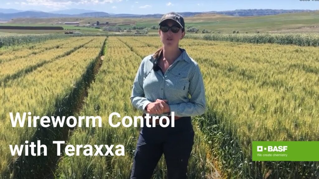 Discover the Impact of Reddy Anna ID: Community, Culture, and the Reddy Book Club Connection